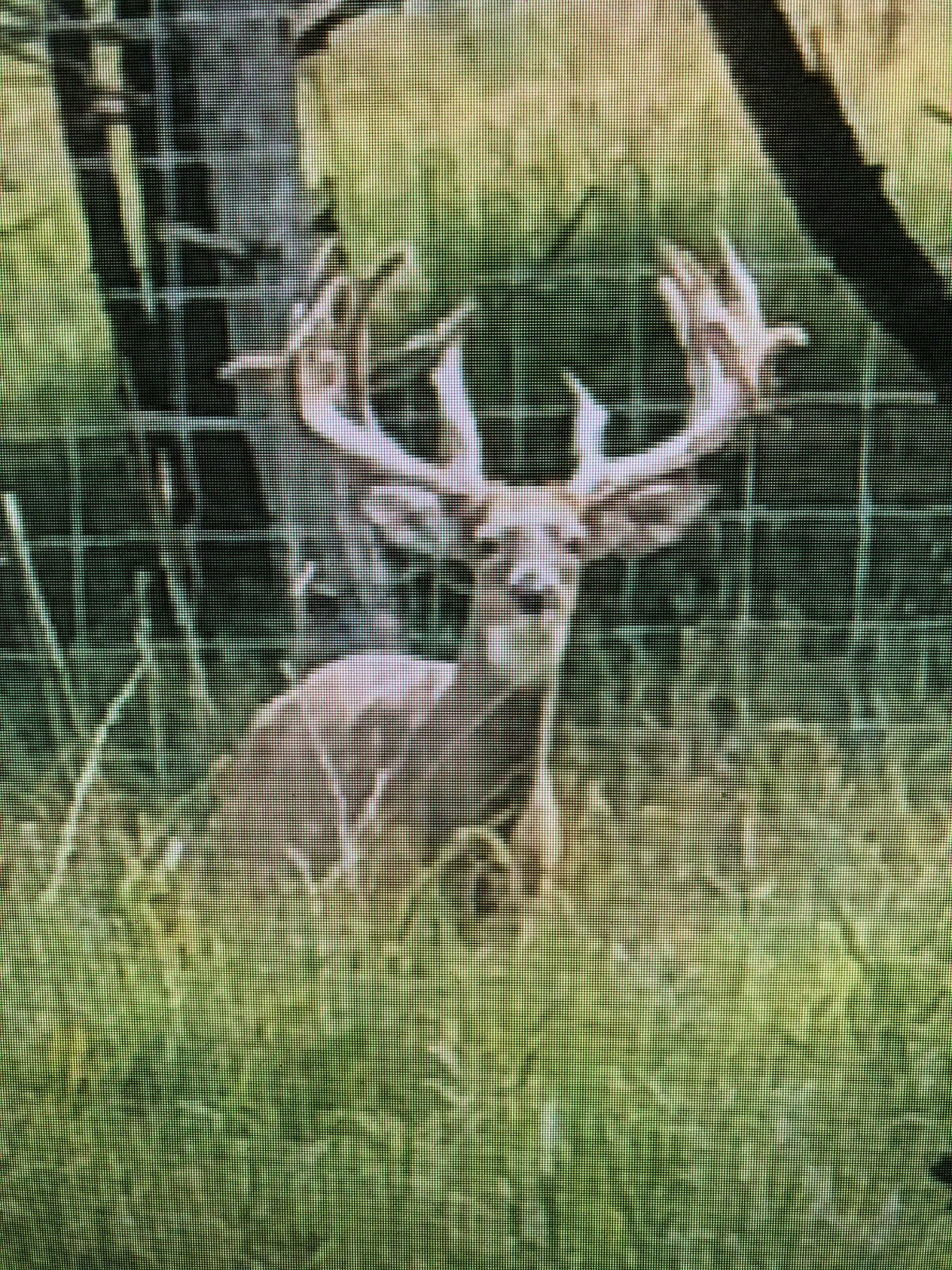 Hunting 2021 Trophy Whitetail Deer Buck Hunts Pa Guided